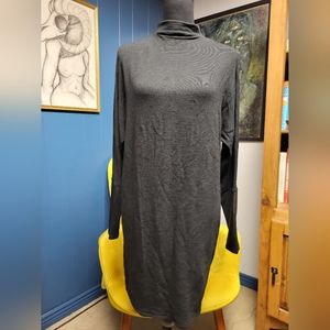 Express Lightweight Sweater Dress Size XS